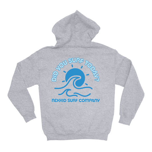 Did You Surf Today? Hoodie